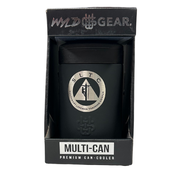 Wyld Multi-Can 12oz