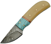 Fixed Blade|Turquoise