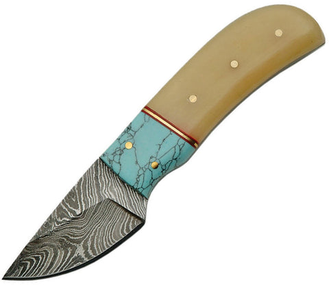 Fixed Blade|Turquoise